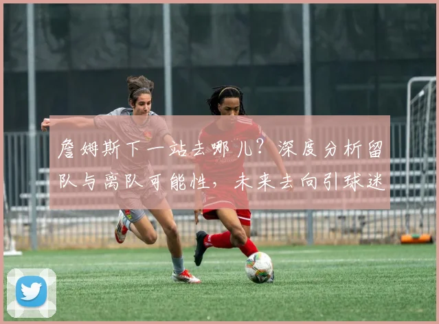 詹姆斯下一站去哪儿？深度分析留队与离队可能性，未来去向引球迷猜测